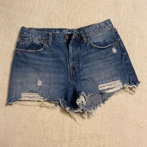We The Free Blue Distressed Jean Shorts
